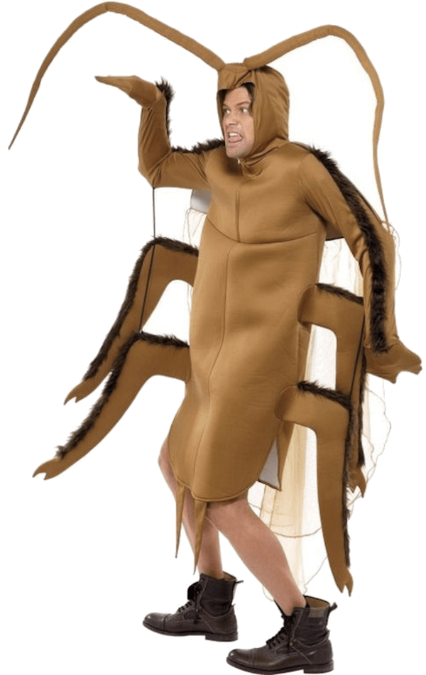 Adult Cockroach Costume | Joke.co.uk