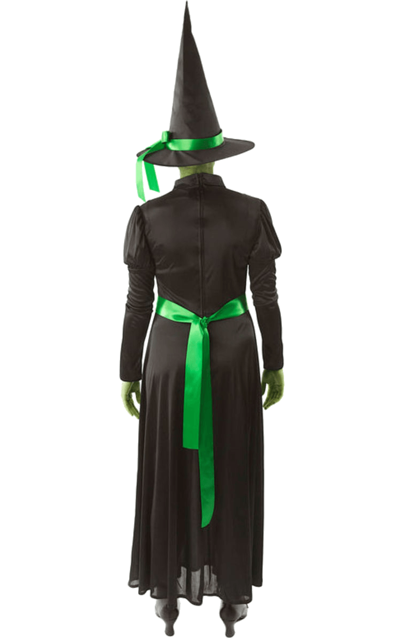 Adult Wicked Witch Halloween Costume Joke.co.uk