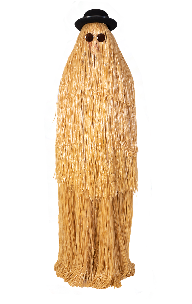 Adult Cousin Itt Costume | Joke.co.uk